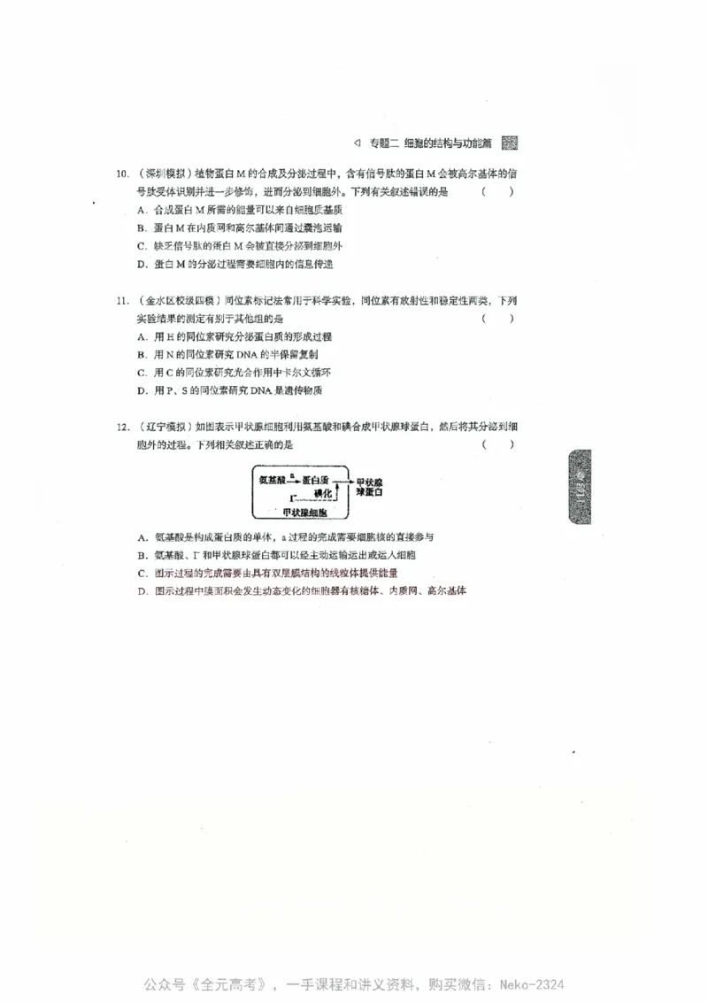 细胞物质&结构基础选择题汇编@_2024-2025高三（6-6月题库）_2024年09月试卷_万猛