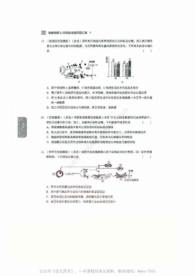 细胞物质&结构基础选择题汇编@_2024-2025高三（6-6月题库）_2024年09月试卷_万猛