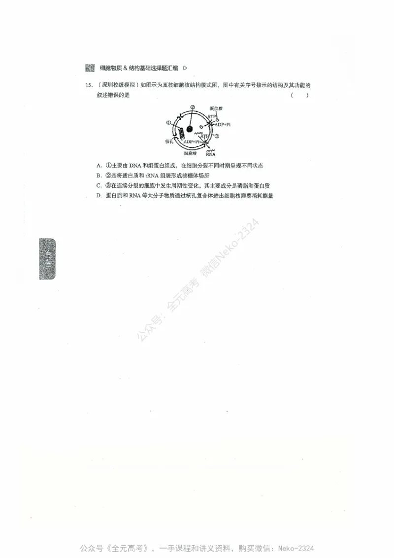 细胞物质&结构基础选择题汇编@_2024-2025高三（6-6月题库）_2024年09月试卷_万猛