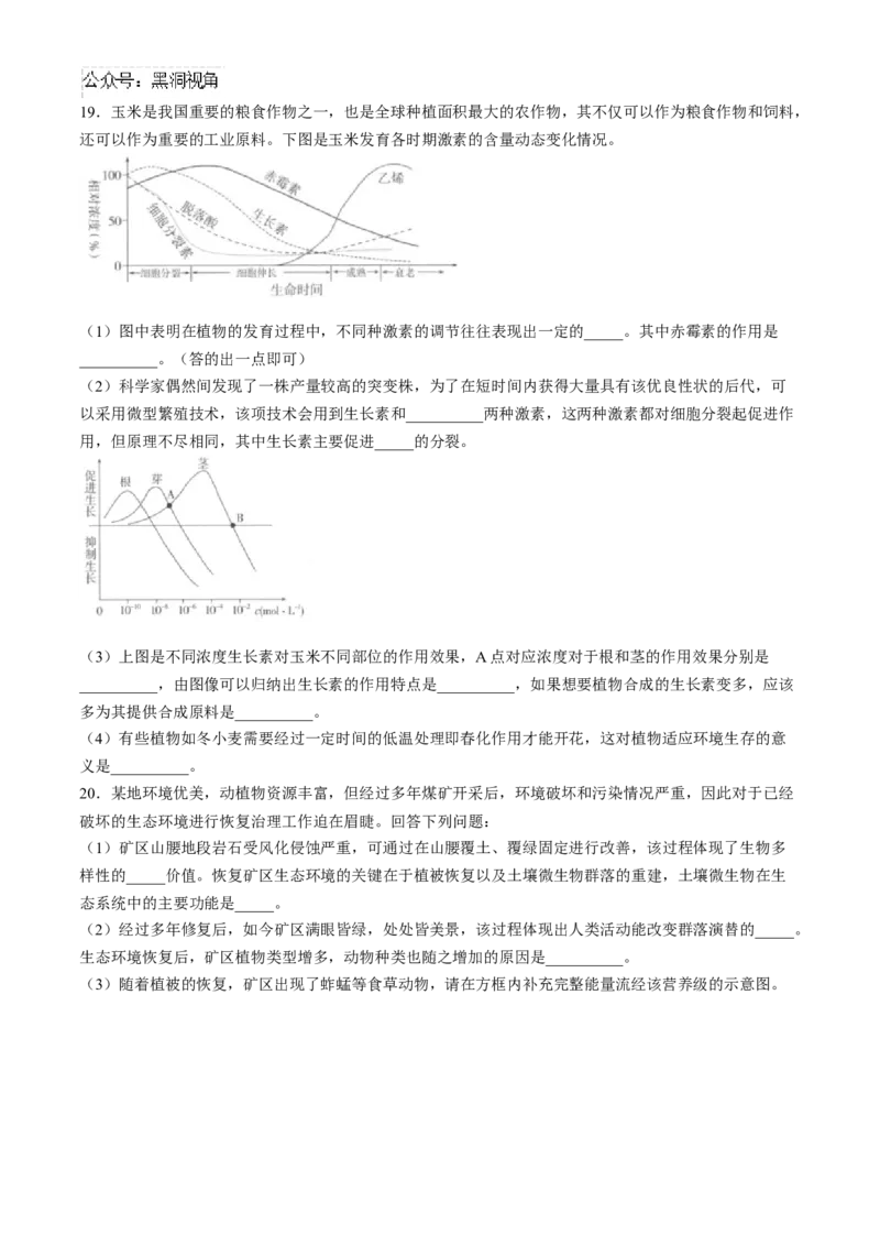 陕西省汉中市2024-2025学年高三上学期11月期中联考试题生物Word版含解析_2024-2025高三（6-6月题库）_2024年11月试卷_1120陕西省汉中市2024-2025学年高三上学期11月期中联考