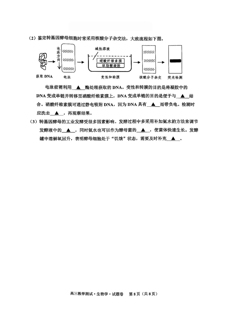 浙江省2025届高三嘉兴一模生物试题_2024-2025高三（6-6月题库）_2024年12月试卷_12112024-2025学年浙江嘉兴一模高三12月教学测试_浙江省2025届高三嘉兴一模生物