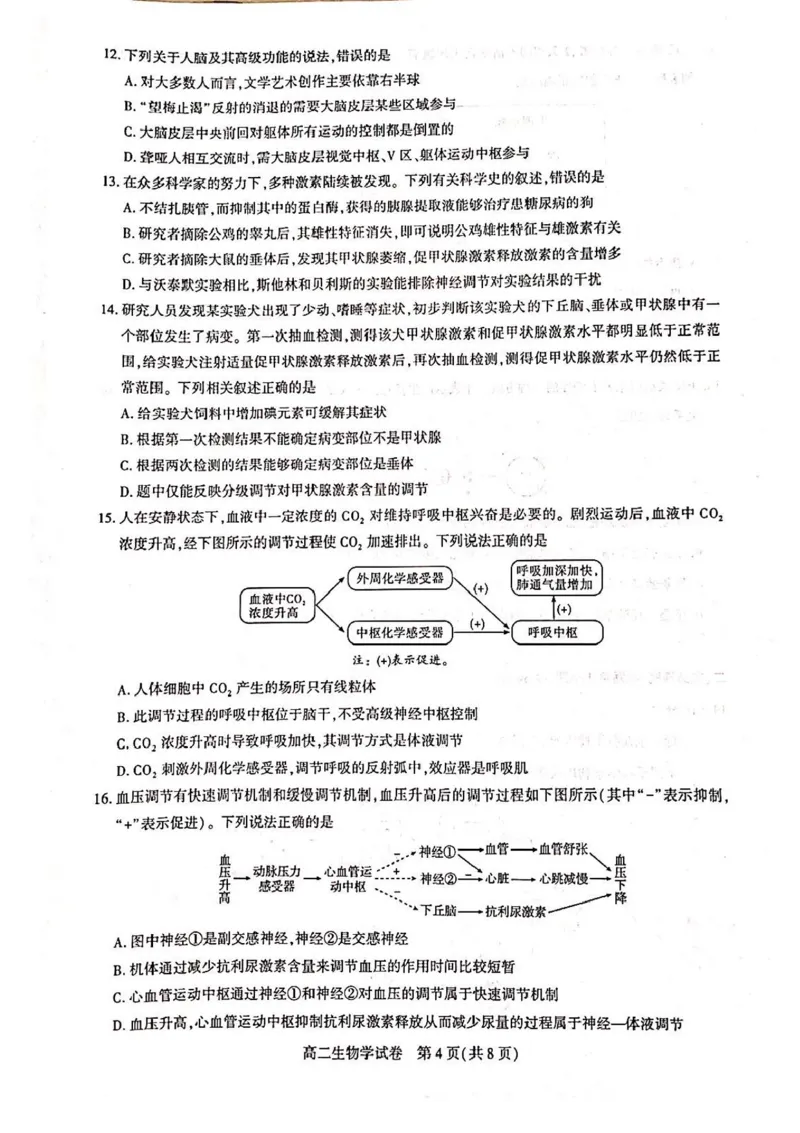 湖北省武汉市部分重点中学2025-2026学年高二上学期11月期中联考生物试卷含答案_2025年11月高二试卷_251112湖北武汉市部分重点中学2025-2026学年高二上学期期中联考（全）