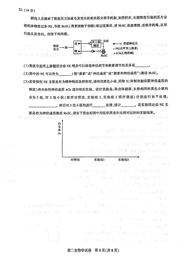 湖北省武汉市部分重点中学2025-2026学年高二上学期11月期中联考生物试卷含答案_2025年11月高二试卷_251112湖北武汉市部分重点中学2025-2026学年高二上学期期中联考（全）