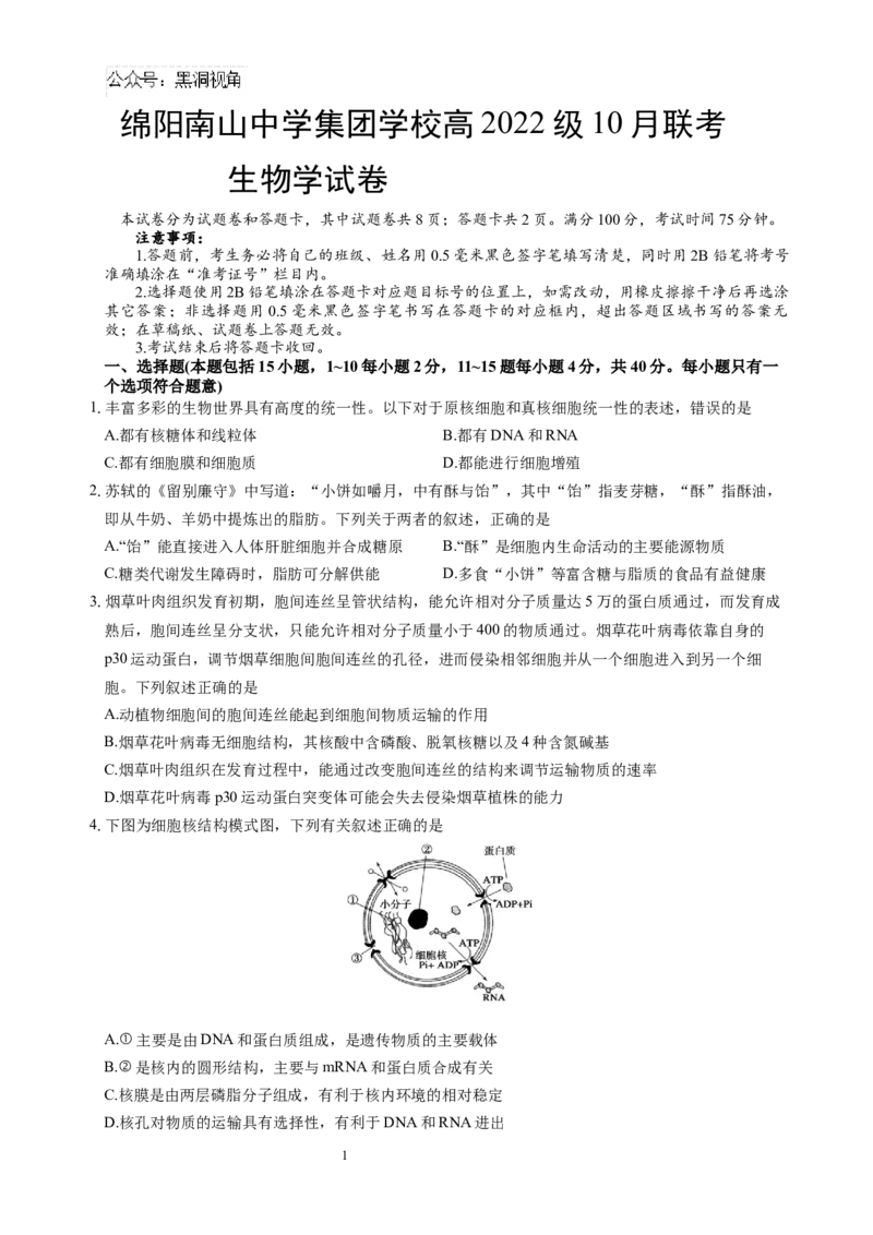 生物试题_2024-2026高三（6-6月题库）_2024年10月试卷_1017四川省绵阳市南山中学集团学校2024-2025学年高三上学期10月联考