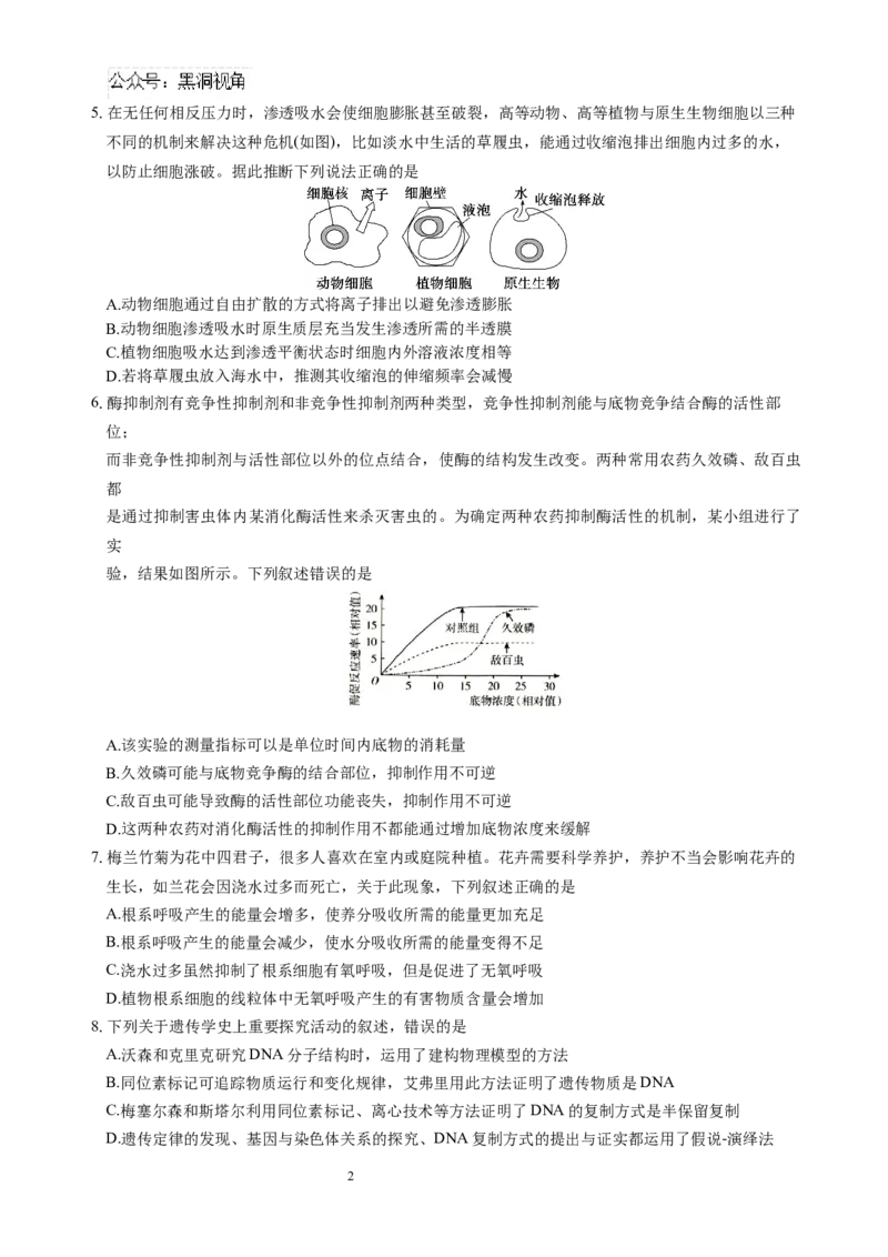 生物试题_2024-2026高三（6-6月题库）_2024年10月试卷_1017四川省绵阳市南山中学集团学校2024-2025学年高三上学期10月联考