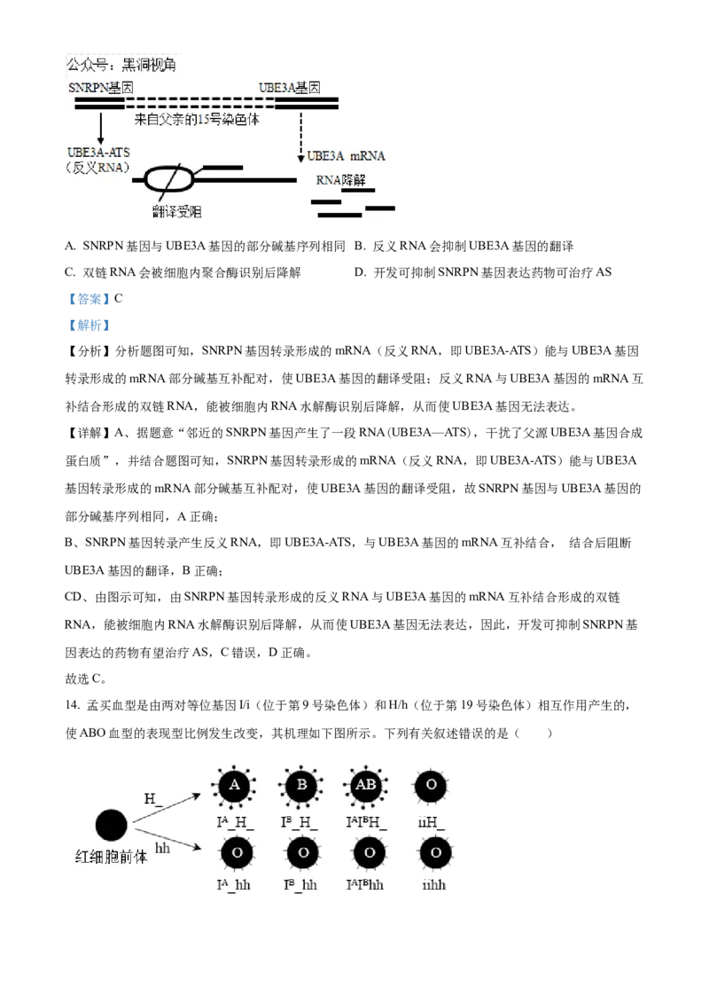 福建省泉州五校联考2024-2025学年高三上学期11月期中生物试题Word版含解析_2024-2025高三（6-6月题库）_2024年11月试卷_1126福建省泉州市五校2024-2025学年高三上学期11月期中联考