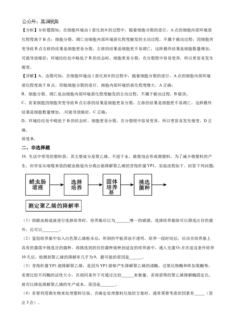 福建省泉州五校联考2024-2025学年高三上学期11月期中生物试题Word版含解析_2024-2025高三（6-6月题库）_2024年11月试卷_1126福建省泉州市五校2024-2025学年高三上学期11月期中联考