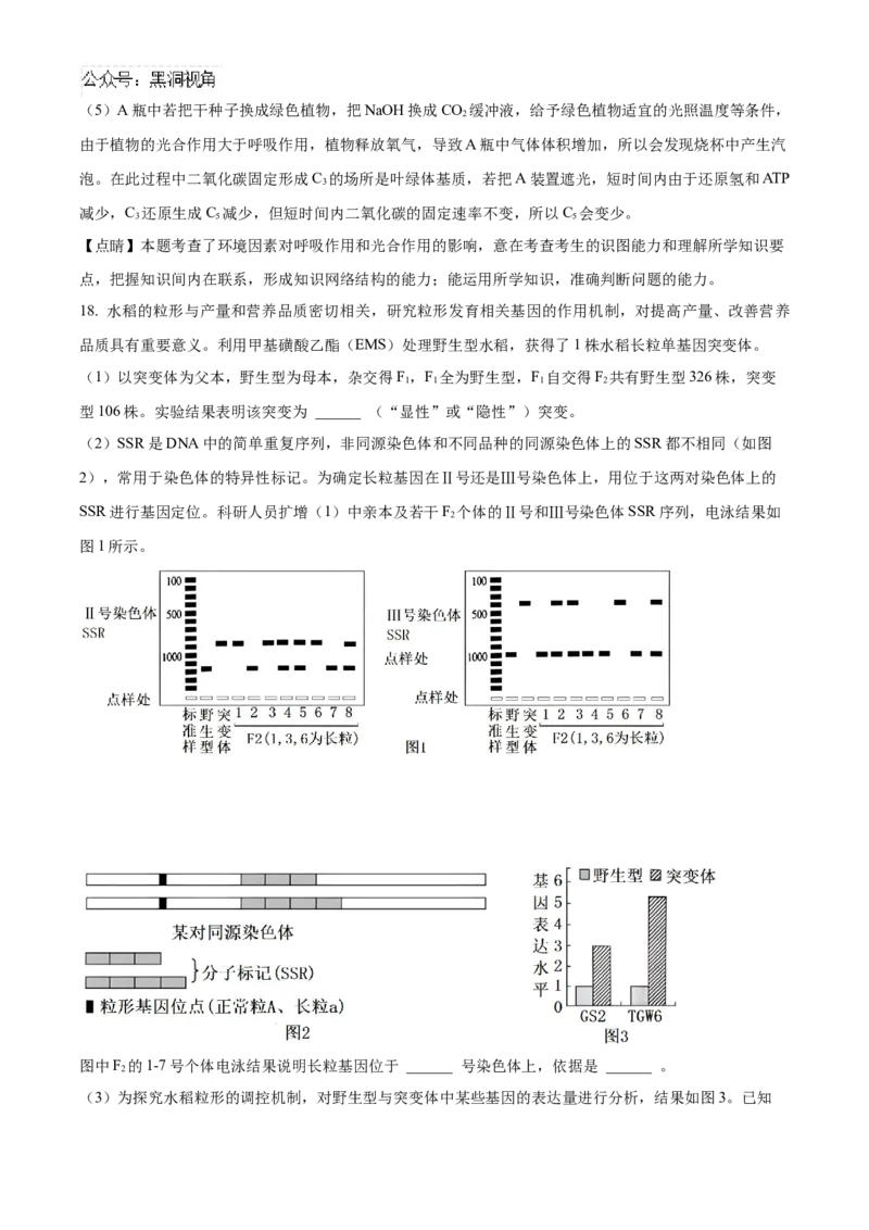 福建省泉州五校联考2024-2025学年高三上学期11月期中生物试题Word版含解析_2024-2025高三（6-6月题库）_2024年11月试卷_1126福建省泉州市五校2024-2025学年高三上学期11月期中联考