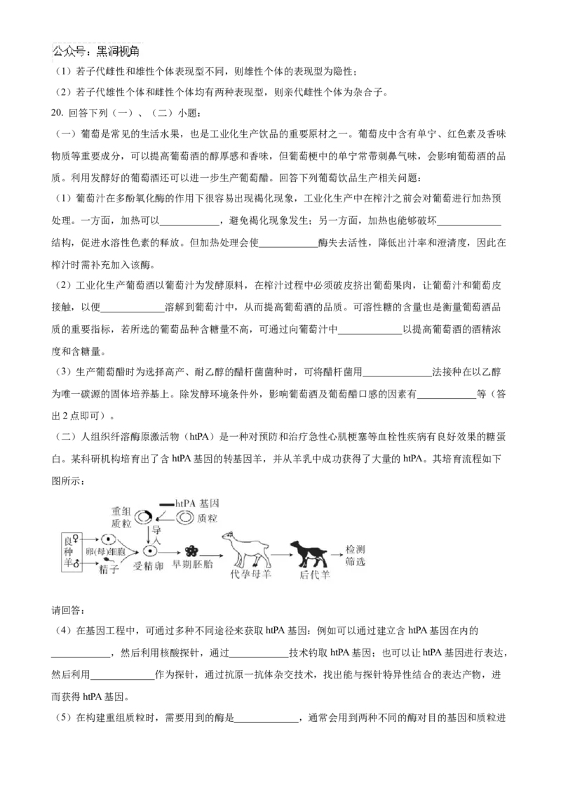 福建省泉州五校联考2024-2025学年高三上学期11月期中生物试题Word版含解析_2024-2025高三（6-6月题库）_2024年11月试卷_1126福建省泉州市五校2024-2025学年高三上学期11月期中联考