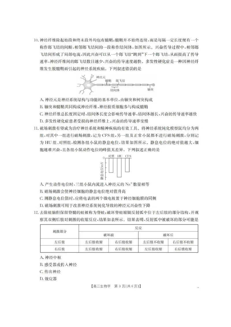 河南省南阳地区2025-2026学年高二上学期10月考试生物试题含答案_2025年11月高二试卷_251102河南省南阳地区2025年秋季高二10月阶段考试卷（全）