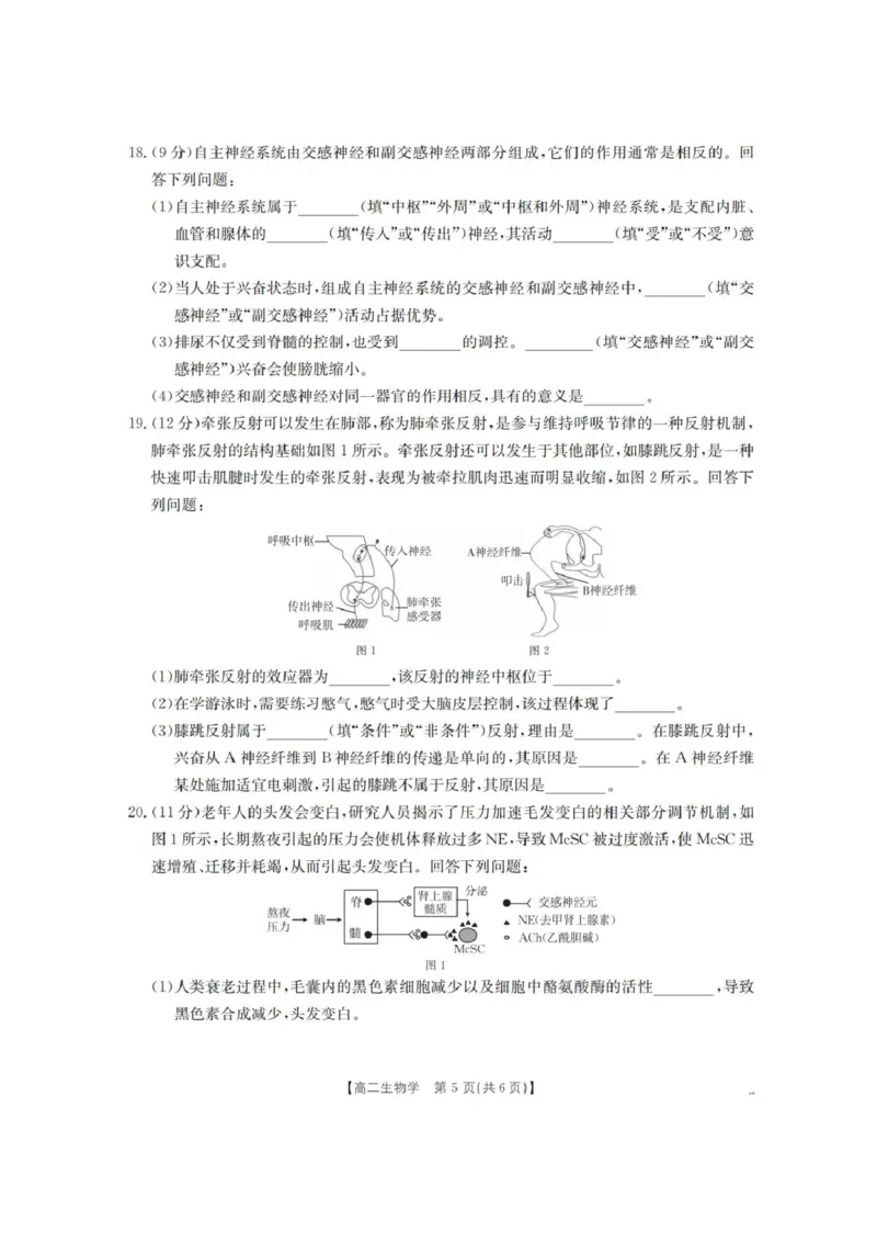河南省南阳地区2025-2026学年高二上学期10月考试生物试题含答案_2025年11月高二试卷_251102河南省南阳地区2025年秋季高二10月阶段考试卷（全）