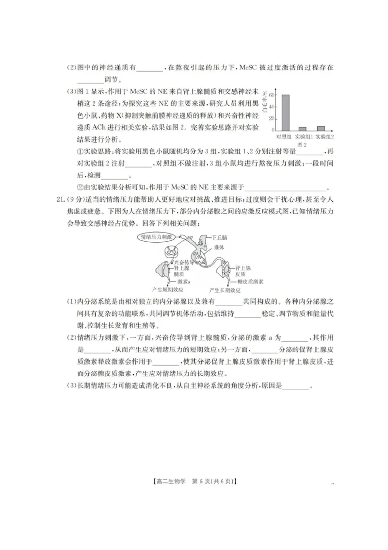 河南省南阳地区2025-2026学年高二上学期10月考试生物试题含答案_2025年11月高二试卷_251102河南省南阳地区2025年秋季高二10月阶段考试卷（全）