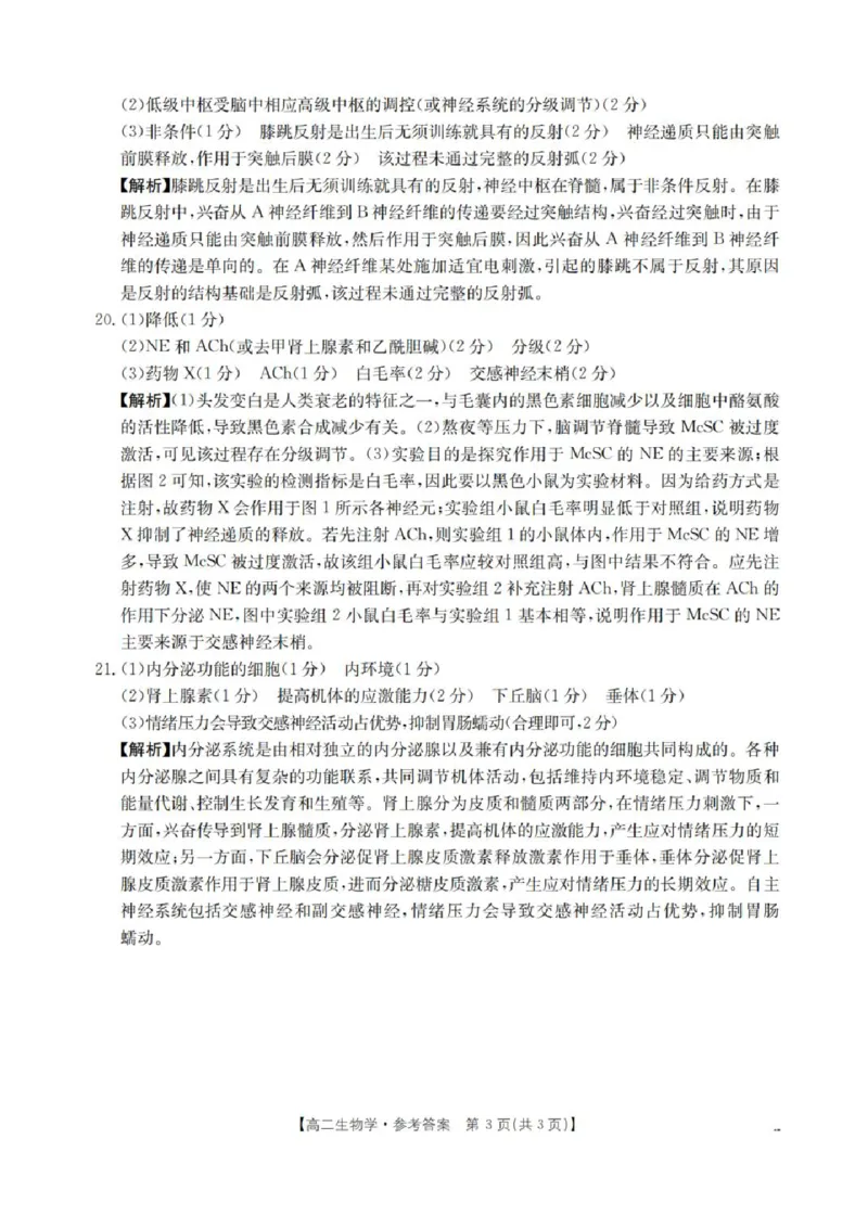 河南省南阳地区2025-2026学年高二上学期10月考试生物试题含答案_2025年11月高二试卷_251102河南省南阳地区2025年秋季高二10月阶段考试卷（全）