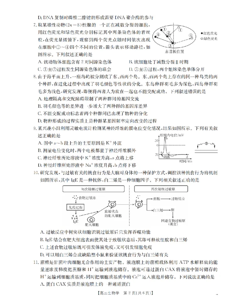 青海省2026届高三上学期12月联考（26-205C）生物_2024-2026高三（6-6月题库）_2026年01月高三试卷_0119金太阳&middot;青海省2026届高三上学期12月联考（26-205C）（全）