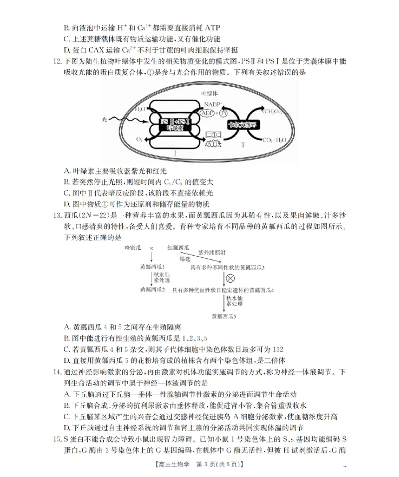 青海省2026届高三上学期12月联考（26-205C）生物_2024-2026高三（6-6月题库）_2026年01月高三试卷_0119金太阳&middot;青海省2026届高三上学期12月联考（26-205C）（全）