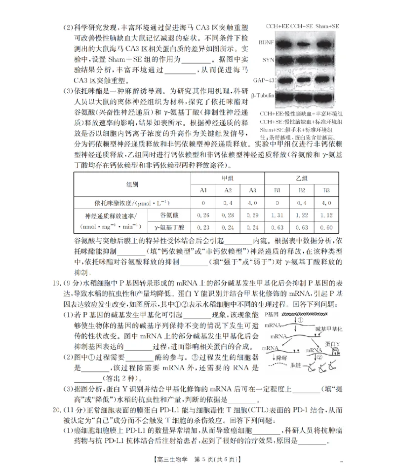 青海省2026届高三上学期12月联考（26-205C）生物_2024-2026高三（6-6月题库）_2026年01月高三试卷_0119金太阳&middot;青海省2026届高三上学期12月联考（26-205C）（全）