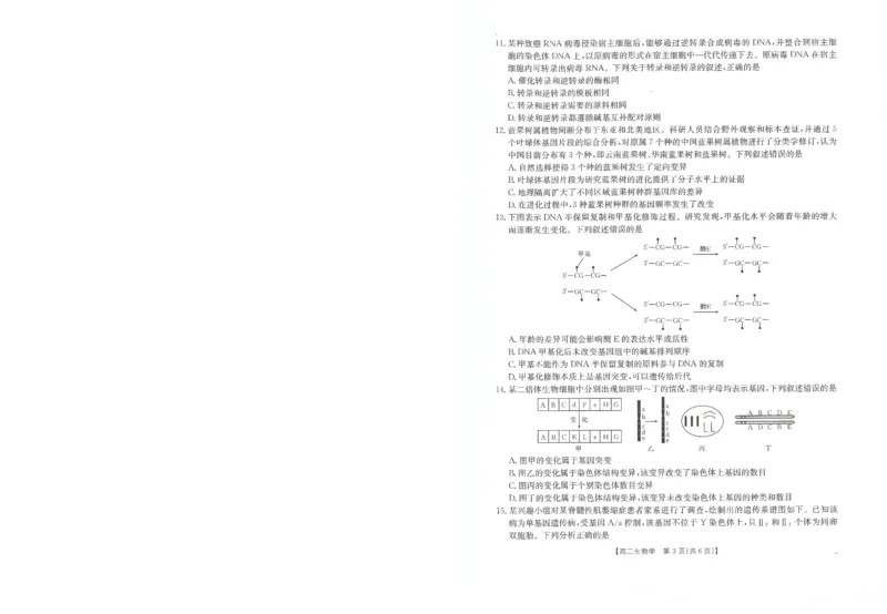 生物试卷_2025年10月高二试卷_251031金太阳&middot;河南省2025-2026年度上学期高二年级第一次联考（25-28B）（全）
