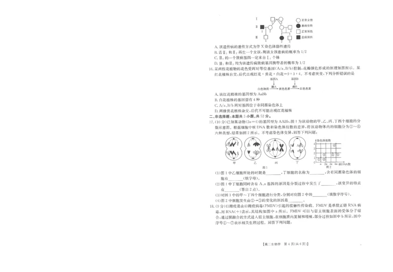 生物试卷_2025年10月高二试卷_251031金太阳&middot;河南省2025-2026年度上学期高二年级第一次联考（25-28B）（全）