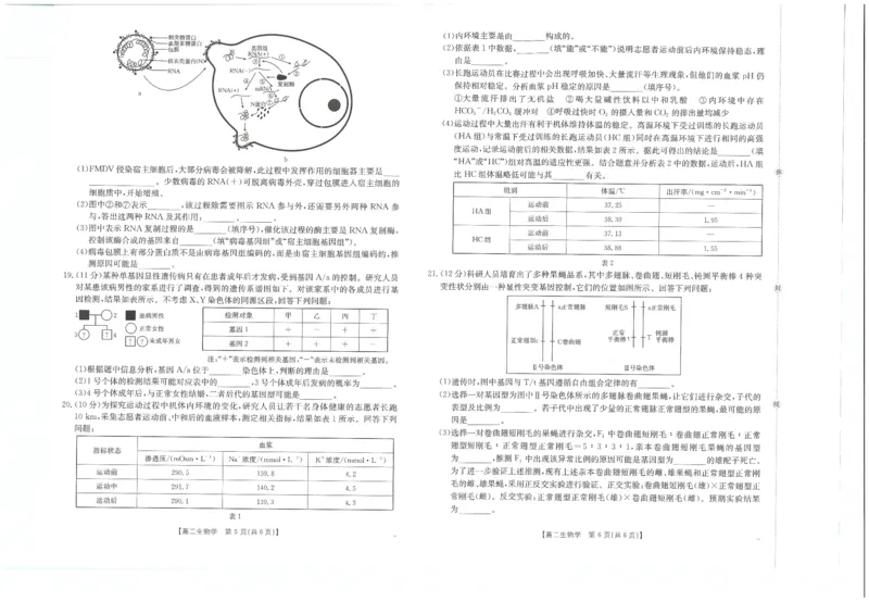 生物试卷_2025年10月高二试卷_251031金太阳&middot;河南省2025-2026年度上学期高二年级第一次联考（25-28B）（全）