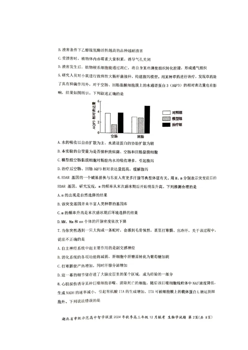 湖北省市级示范高中智学联盟2024-2025学年高三上学期12月月考生物试题_2024-2025高三（6-6月题库）_2024年12月试卷_1208湖北省市级示范高中智学联盟2024-2025学年高三上学期12月月考