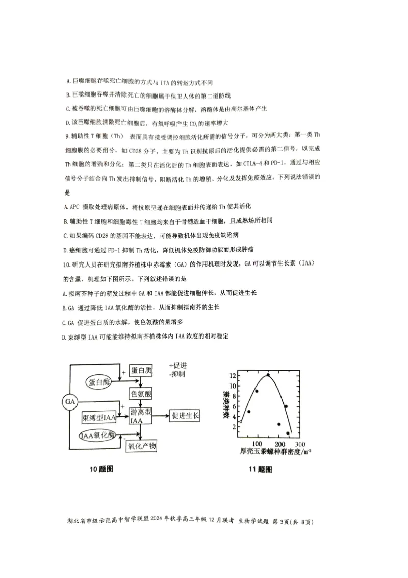 湖北省市级示范高中智学联盟2024-2025学年高三上学期12月月考生物试题_2024-2025高三（6-6月题库）_2024年12月试卷_1208湖北省市级示范高中智学联盟2024-2025学年高三上学期12月月考