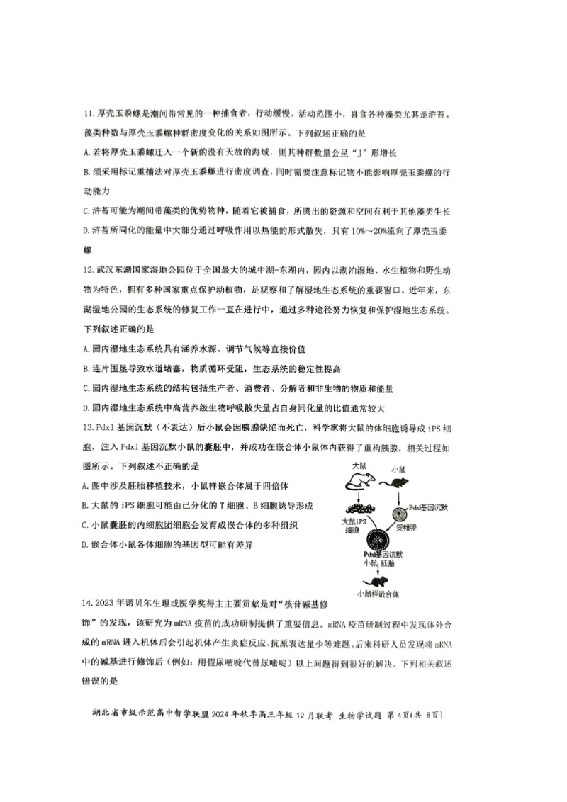 湖北省市级示范高中智学联盟2024-2025学年高三上学期12月月考生物试题_2024-2025高三（6-6月题库）_2024年12月试卷_1208湖北省市级示范高中智学联盟2024-2025学年高三上学期12月月考