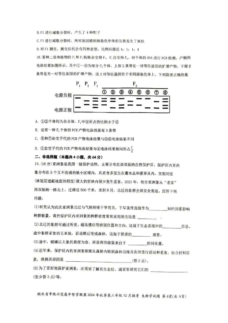 湖北省市级示范高中智学联盟2024-2025学年高三上学期12月月考生物试题_2024-2025高三（6-6月题库）_2024年12月试卷_1208湖北省市级示范高中智学联盟2024-2025学年高三上学期12月月考