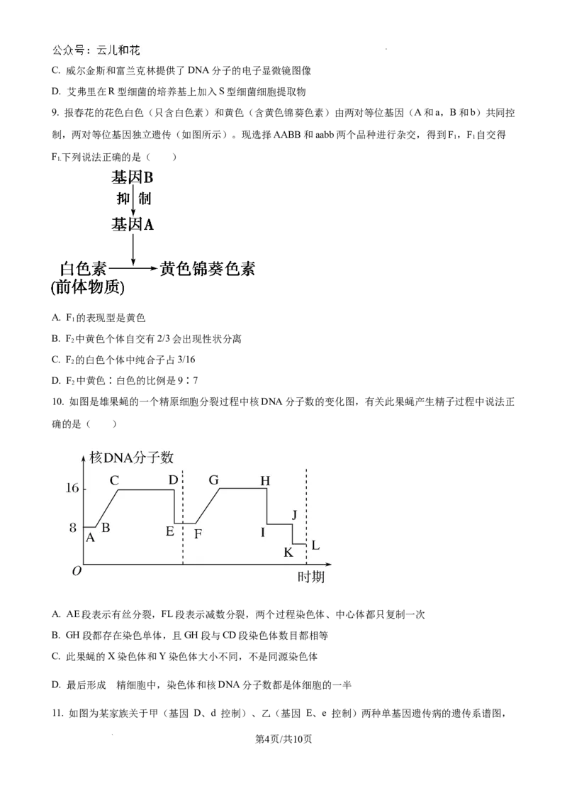 重庆市西北狼联盟2024-2025学年高二上学期开学调研生物试题（卷）_2024-2025高二（7-7月题库）_2024年09月试卷_0926重庆西北狼联盟2024年高二上学期入学联考