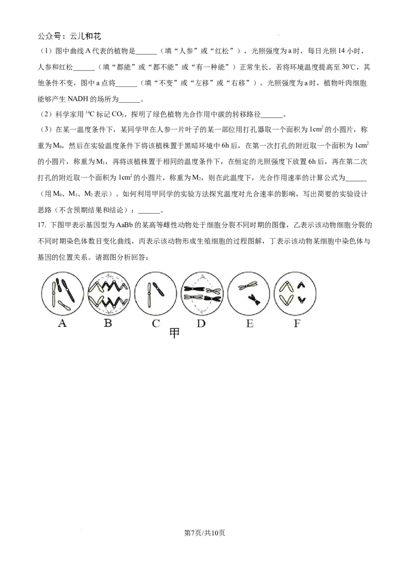 重庆市西北狼联盟2024-2025学年高二上学期开学调研生物试题（卷）_2024-2025高二（7-7月题库）_2024年09月试卷_0926重庆西北狼联盟2024年高二上学期入学联考