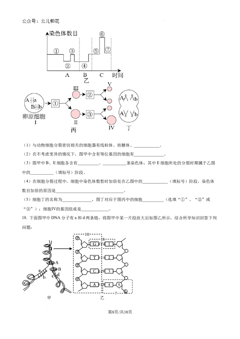 重庆市西北狼联盟2024-2025学年高二上学期开学调研生物试题（卷）_2024-2025高二（7-7月题库）_2024年09月试卷_0926重庆西北狼联盟2024年高二上学期入学联考