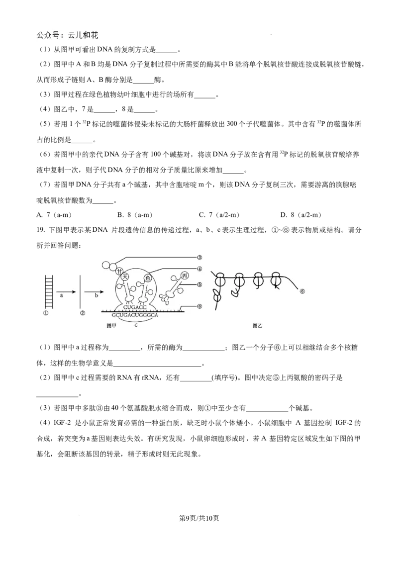 重庆市西北狼联盟2024-2025学年高二上学期开学调研生物试题（卷）_2024-2025高二（7-7月题库）_2024年09月试卷_0926重庆西北狼联盟2024年高二上学期入学联考