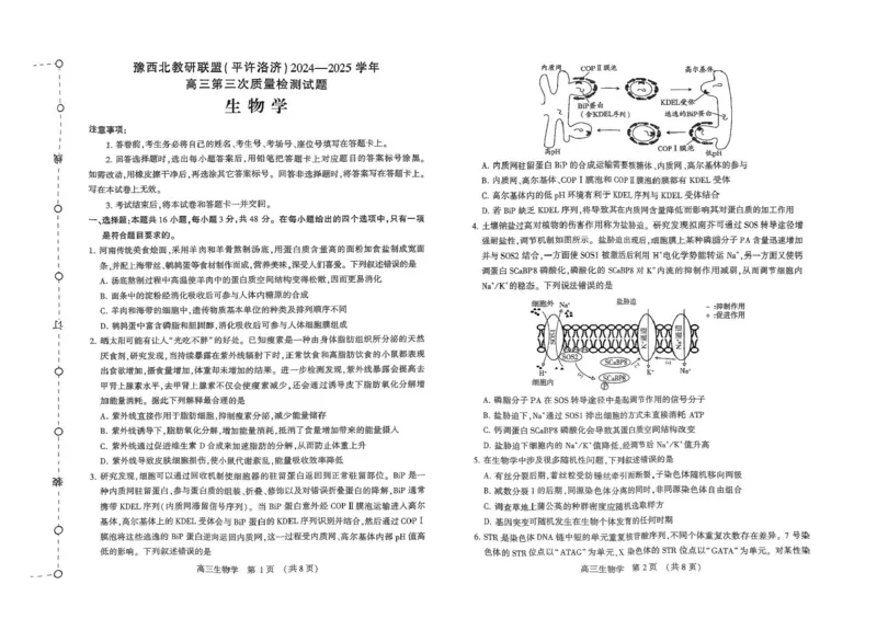 河南省豫西北教研联盟（许平洛济）2025届高三下学期第三次质量检测生物试卷+答案_2024-2025高三（6-6月题库）_2025年05月试卷