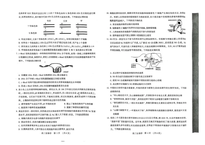 河南省豫西北教研联盟（许平洛济）2025届高三下学期第三次质量检测生物试卷+答案_2024-2025高三（6-6月题库）_2025年05月试卷