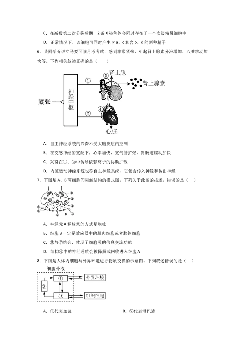 河南省信阳高级中学北湖校区2025-2026学年高二上期09月测试（二）生物试题_2025年10月高二试卷_251008河南省信阳市浉河区信阳高级中学2025-2026学年高二上学期9月月考