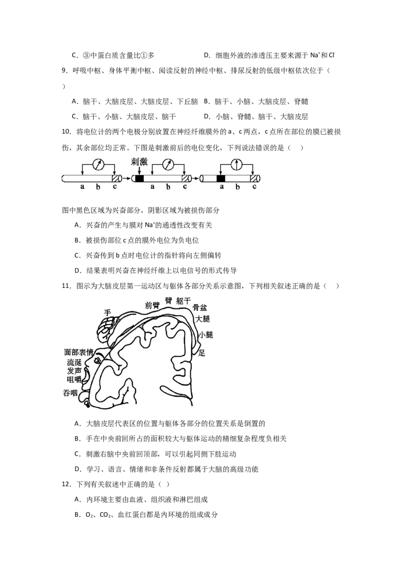河南省信阳高级中学北湖校区2025-2026学年高二上期09月测试（二）生物试题_2025年10月高二试卷_251008河南省信阳市浉河区信阳高级中学2025-2026学年高二上学期9月月考