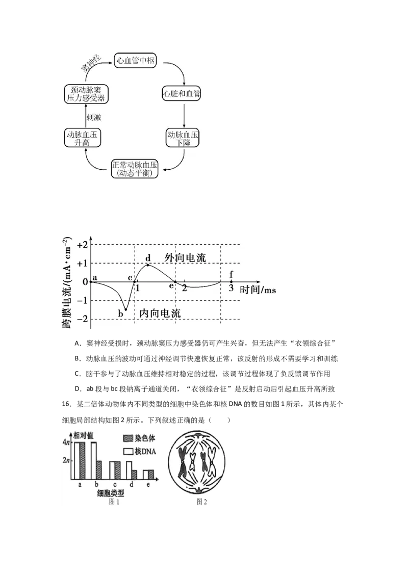 河南省信阳高级中学北湖校区2025-2026学年高二上期09月测试（二）生物试题_2025年10月高二试卷_251008河南省信阳市浉河区信阳高级中学2025-2026学年高二上学期9月月考