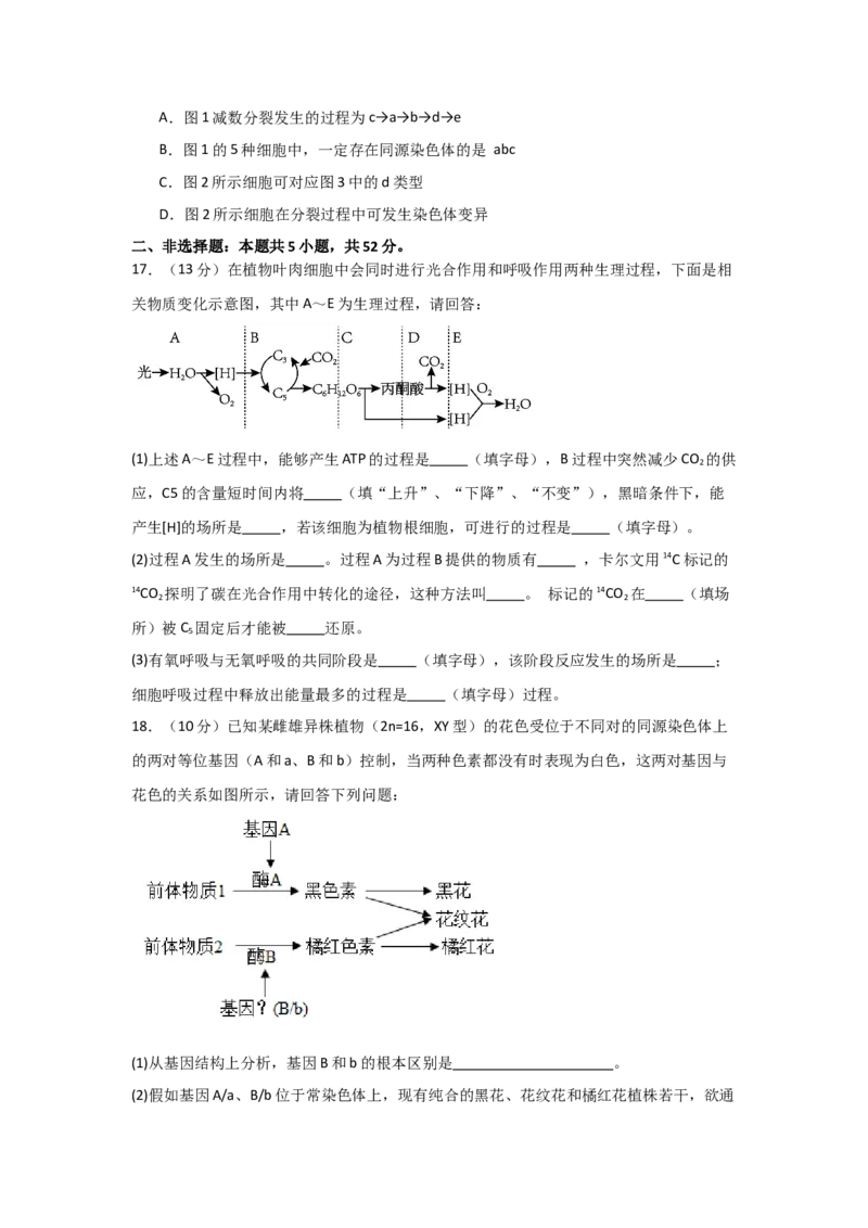 河南省信阳高级中学北湖校区2025-2026学年高二上期09月测试（二）生物试题_2025年10月高二试卷_251008河南省信阳市浉河区信阳高级中学2025-2026学年高二上学期9月月考
