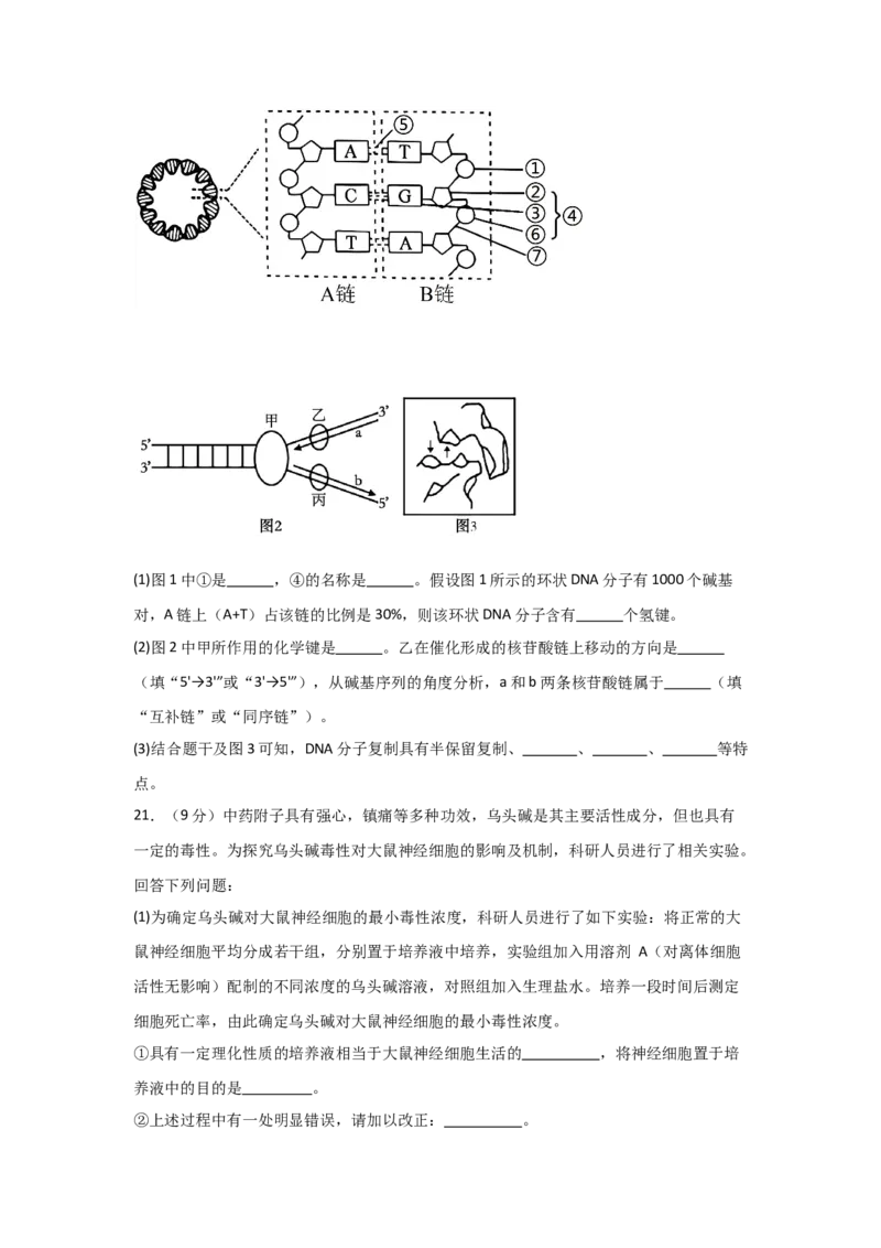 河南省信阳高级中学北湖校区2025-2026学年高二上期09月测试（二）生物试题_2025年10月高二试卷_251008河南省信阳市浉河区信阳高级中学2025-2026学年高二上学期9月月考
