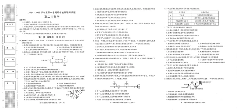 陕西省汉中市2024-2025学年高二上学期11月期中校际联考生物试题含答案_2024-2025高二（7-7月题库）_2024年11月试卷_1121陕西省汉中市2024-2025学年高二上学期11月期中校际联考