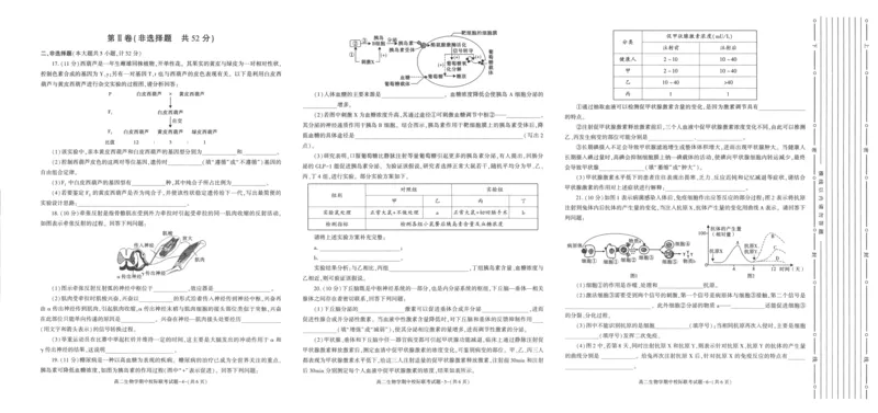 陕西省汉中市2024-2025学年高二上学期11月期中校际联考生物试题含答案_2024-2025高二（7-7月题库）_2024年11月试卷_1121陕西省汉中市2024-2025学年高二上学期11月期中校际联考