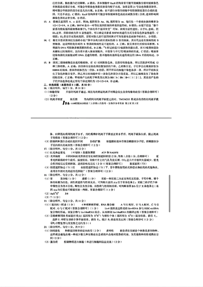 生物参考答案_2024-2025高三（6-6月题库）_2024年11月试卷_1116安徽A10联盟2025届高三上学期11月段考（全科）_安徽A10联盟2025届高三上学期11月段考生物