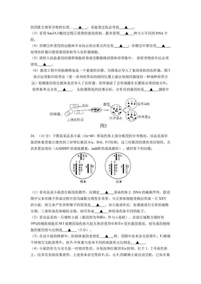 生物试卷_2024-2025高三（6-6月题库）_2024年12月试卷_1201江苏省南京市六校联合体2024-2025学年高三上学期11月联考（全科）_江苏省南京市六校联合体2024-2025学年高三上学期11月联考生物试题