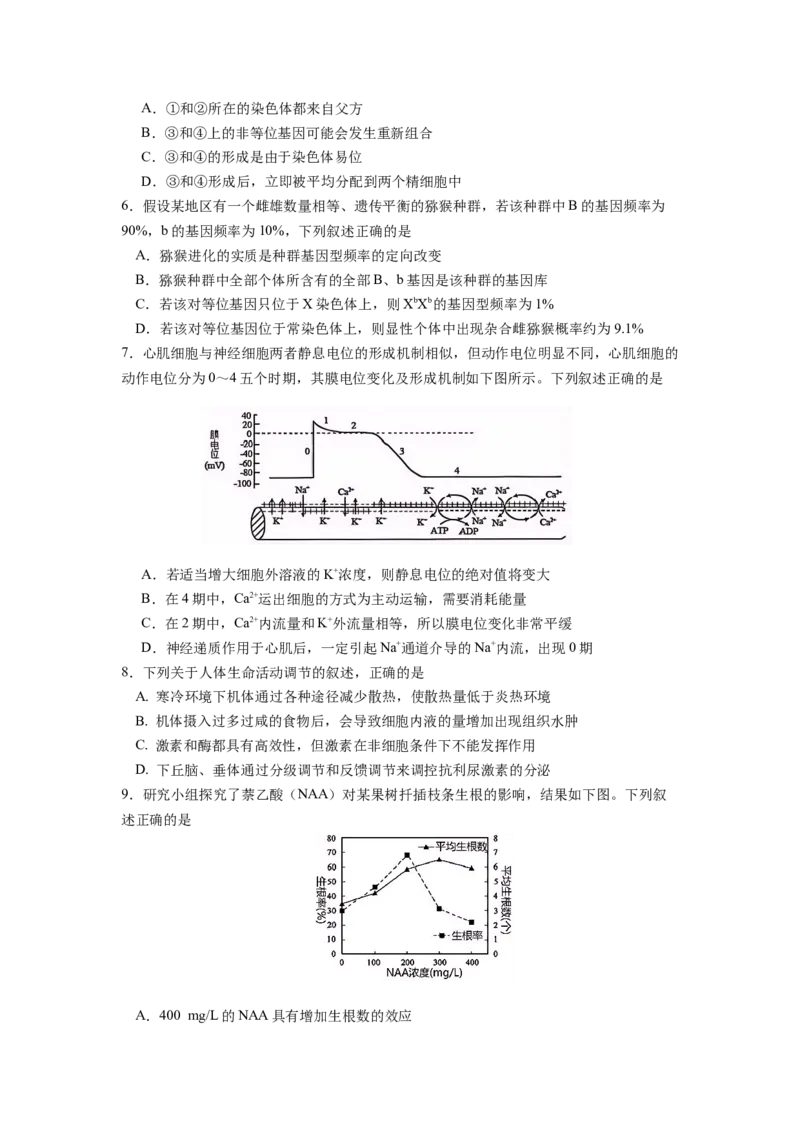 生物试卷_2024-2025高三（6-6月题库）_2024年12月试卷_1201江苏省南京市六校联合体2024-2025学年高三上学期11月联考（全科）_江苏省南京市六校联合体2024-2025学年高三上学期11月联考生物试题