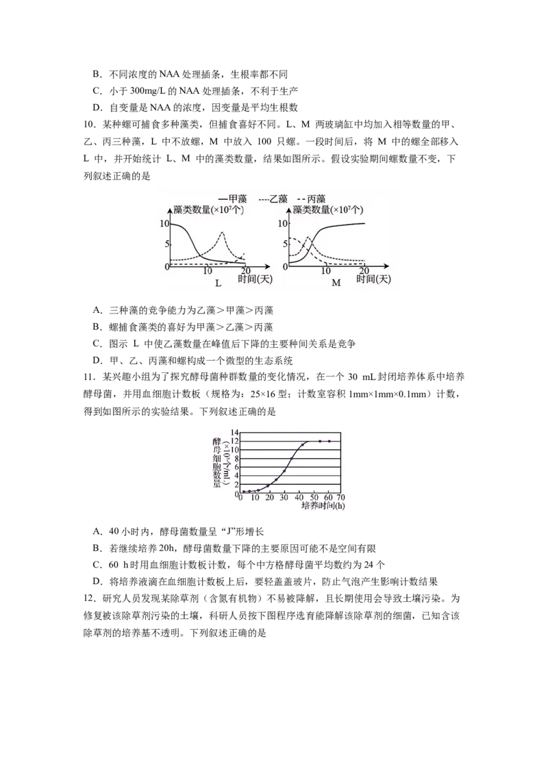 生物试卷_2024-2025高三（6-6月题库）_2024年12月试卷_1201江苏省南京市六校联合体2024-2025学年高三上学期11月联考（全科）_江苏省南京市六校联合体2024-2025学年高三上学期11月联考生物试题