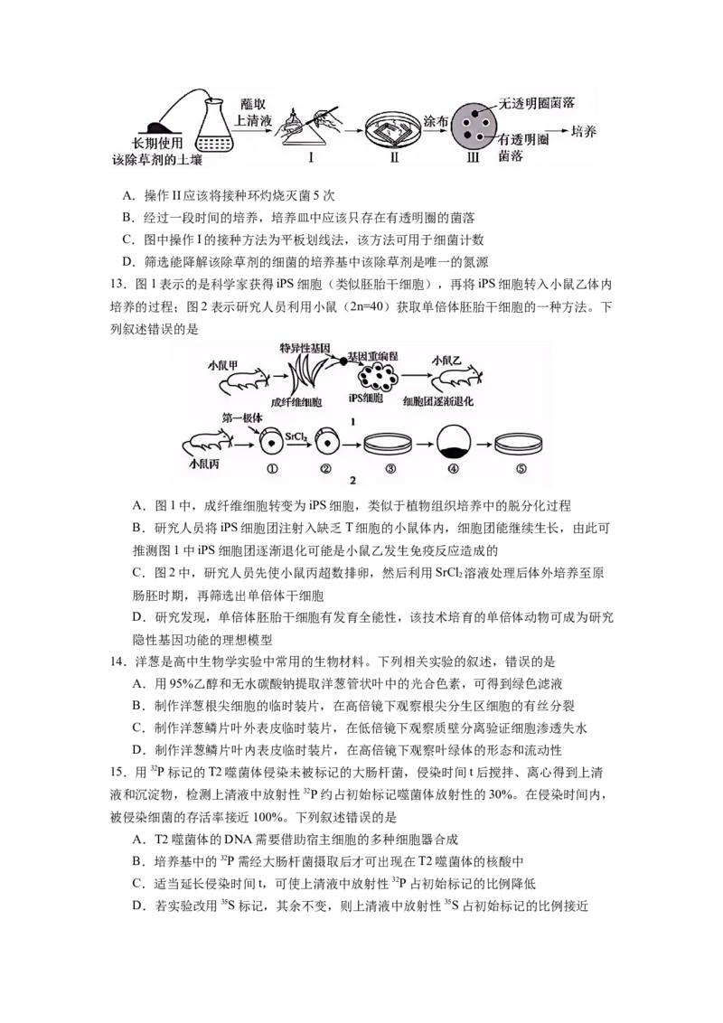 生物试卷_2024-2025高三（6-6月题库）_2024年12月试卷_1201江苏省南京市六校联合体2024-2025学年高三上学期11月联考（全科）_江苏省南京市六校联合体2024-2025学年高三上学期11月联考生物试题