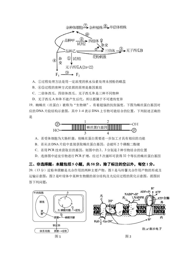生物试卷_2024-2025高三（6-6月题库）_2024年12月试卷_1201江苏省南京市六校联合体2024-2025学年高三上学期11月联考（全科）_江苏省南京市六校联合体2024-2025学年高三上学期11月联考生物试题
