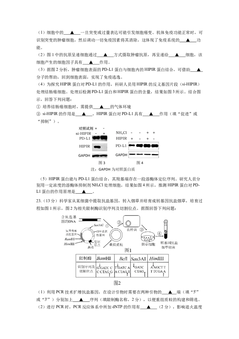 生物试卷_2024-2025高三（6-6月题库）_2024年12月试卷_1201江苏省南京市六校联合体2024-2025学年高三上学期11月联考（全科）_江苏省南京市六校联合体2024-2025学年高三上学期11月联考生物试题