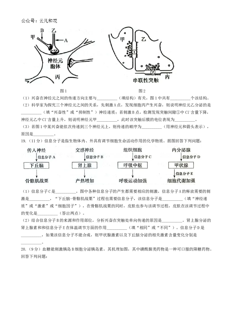陕西省榆林市七校联考2024-2025学年高二上学期11月期中考试生物试题（含答案）_2024-2025高二（7-7月题库）_2024年11月试卷_1109陕西省榆林市七校2024-2025学年高二上学期期中联考