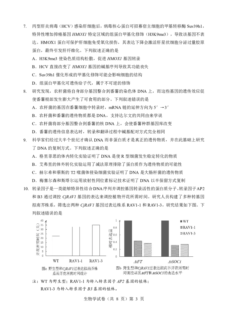 新八校联考2025-2026学年度上学期高二10月月考生物_2025年10月高二试卷_251019湖北省新八校联考2025-2026学年度上学期高二10月月考（全）