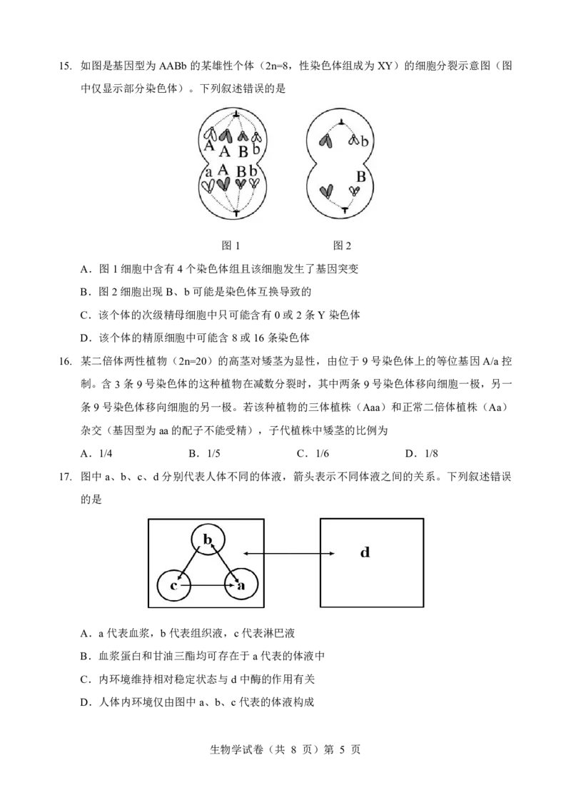 新八校联考2025-2026学年度上学期高二10月月考生物_2025年10月高二试卷_251019湖北省新八校联考2025-2026学年度上学期高二10月月考（全）
